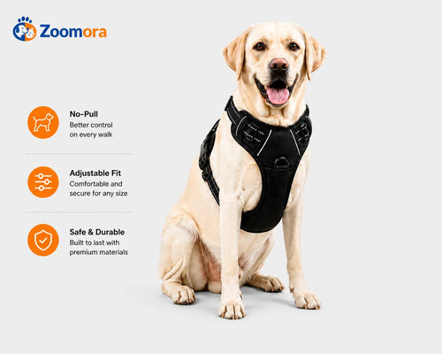 Zoomora™ WalkPro Harness
